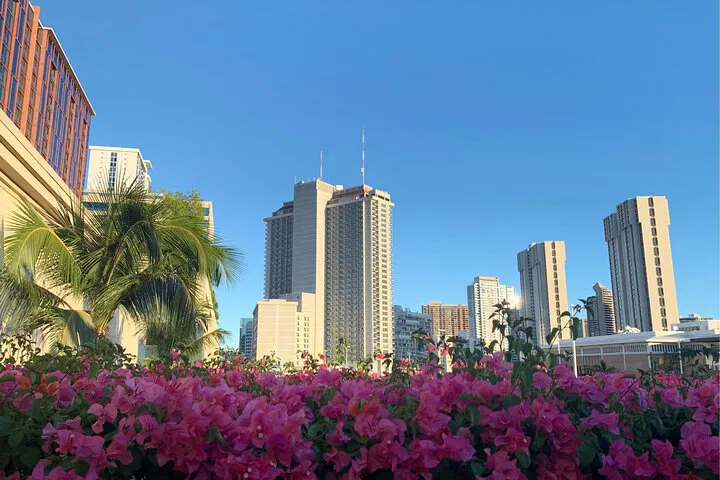 Unleash Your Inner Explorer: Honolulu's Scavenger Hunt Adventure!