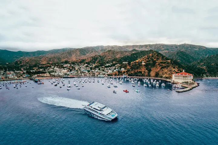 Catalina Express: Smooth Sailing from Avalon to San Pedro