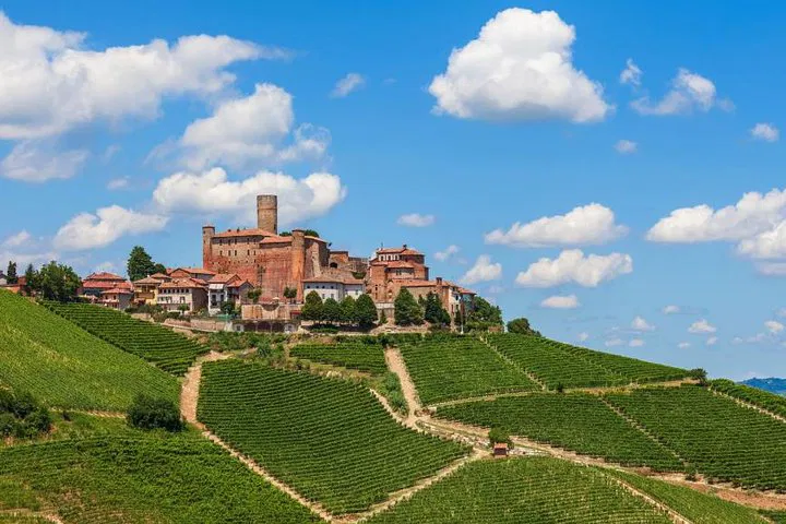 Langhe Wine Tour: Taste Piedmont's Finest with Alba Wine Tours