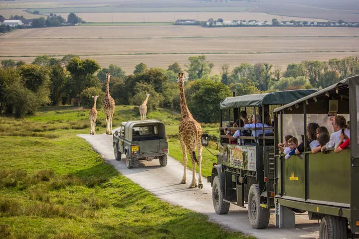 Port Lympne: Wild Safari Day Ticket - See Rhinos!