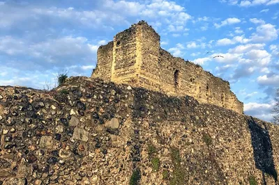 Image 2