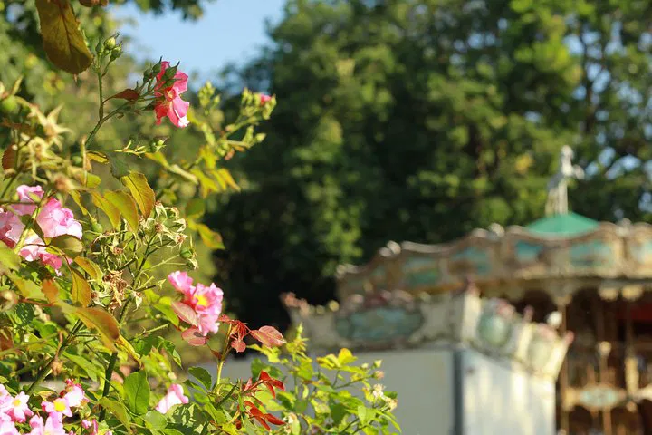 Discover Bohemian Paris: A Montmartre Walking Adventure