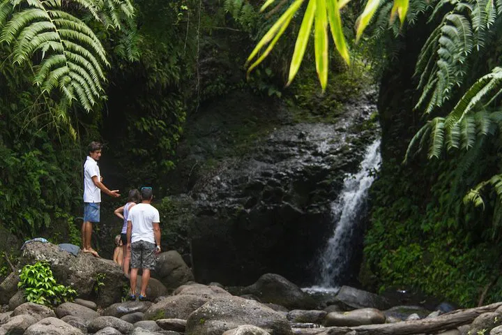 Oahu Hiking Adventure: Private Tours, Unforgettable Views!