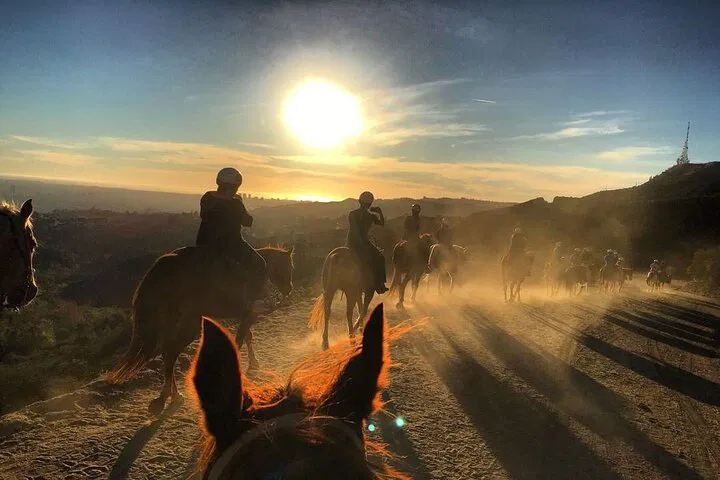Mt. Hollywood Trail Tour: Iconic Views on Horseback