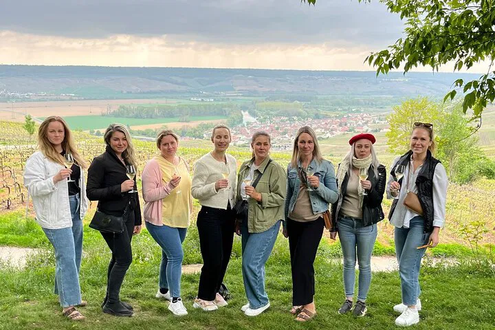 Champagne Family Estates: Full Day Tour & Tastings