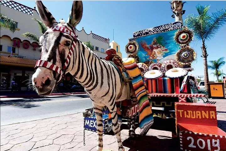 Tijuana's Hidden Gems: A Private, Immersive Day Tour