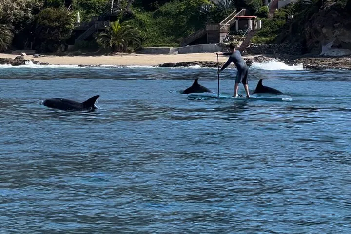 Glide Through Paradise: Laguna Beach Paddleboard Adventure