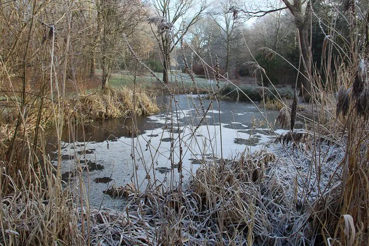 Discover Dundee's Botanic Garden: A Skip-the-Line Nature Escape
