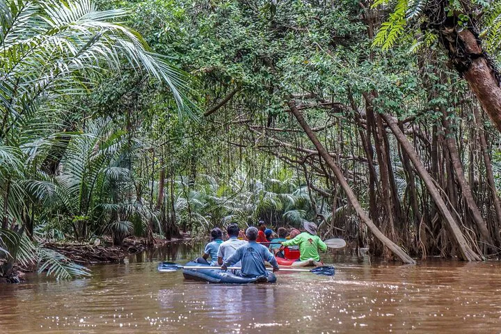 Khaolak: Canoe Little Amazon & Takuapa Old Town
