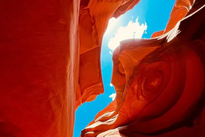Epic 5-Day Adventure: LA to Yellowstone & Vegas!