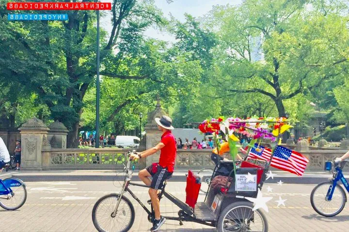 Glide Through Central Park: Eco-Friendly Pedicab Adventure!