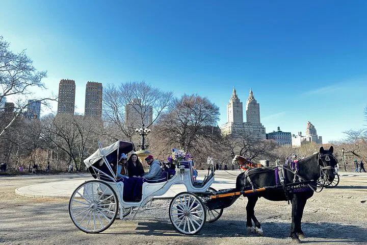 Central Park's Timeless Elegance: Horse-Drawn Carriage Tours
