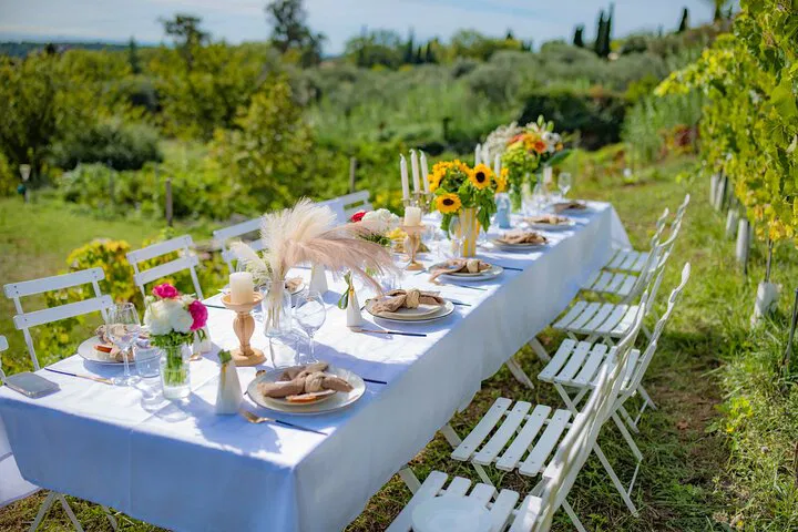 Savor the French Riviera: Vineyard Dining with Sea Views & Wine Masterclass