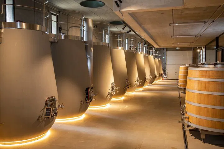 Provence Wine & Olive Oil Tour: Taste the South!