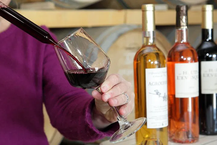Unveiling Winemaking Secrets: Animation Oenologique in Provence