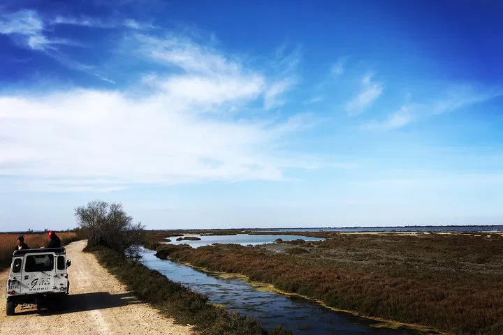 Camargue Safari: 4x4 Tour from Saintes Maries!