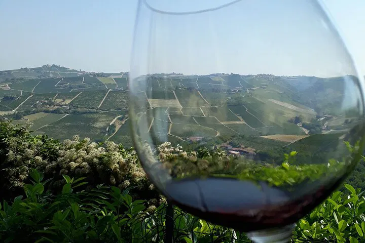 Uncover Piedmont's Hidden Gems: A Wine Tour with the Winemaker