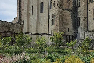 Image 2