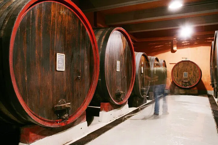 Unveiling Langhe: A Private Wine Cellar & Tasting Journey