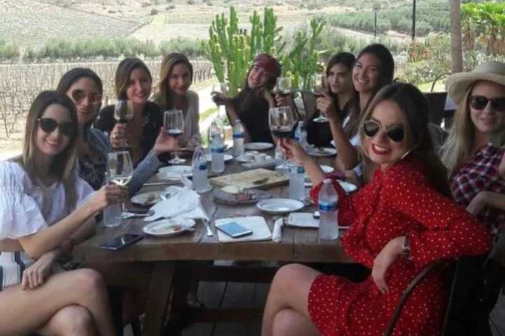 Valle de Guadalupe: Private Wine Tour with Local Experts