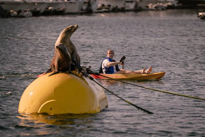 Mission Bay Kayak Adventure: Your Solo Exploration Awaits!