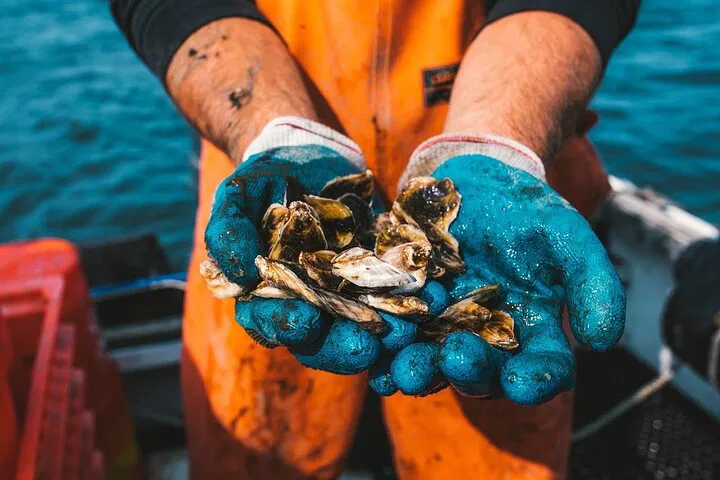 Oyster Farm Tour: Taste Oysters in Rhode Island