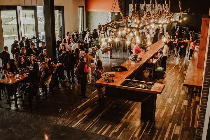 Unforgettable Wine Tasting Journey: Valle de Guadalupe & Casa Frida