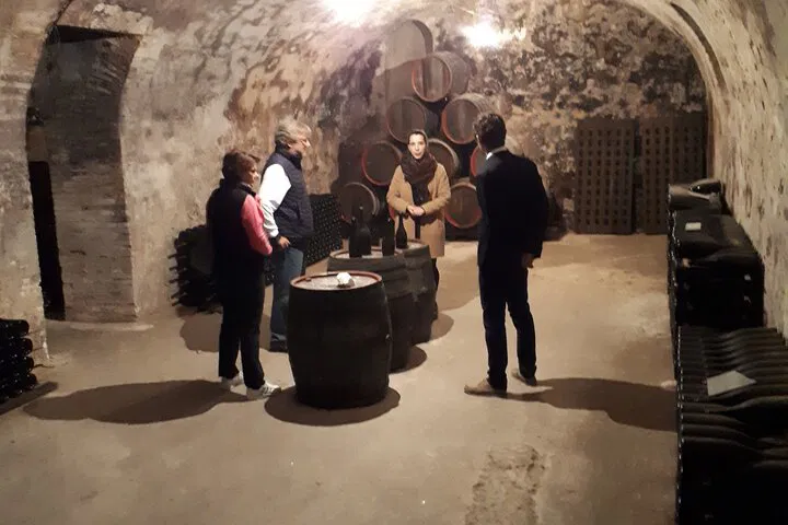 Unforgettable Champagne Vineyard Adventure: VIP Tasting Tour in Reims!