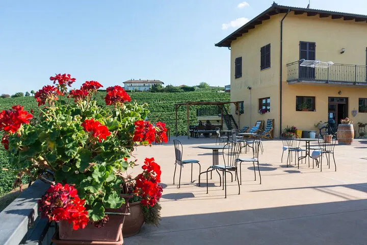 Unveiling Monferrato: Wine Tasting with the Winemaker