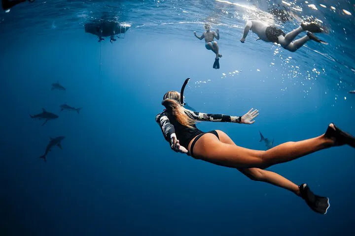 Oahu's Shark Dive: Witness Ocean Predators in Their Natural Realm!