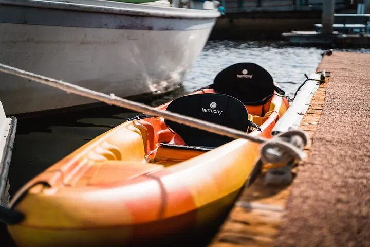 Redondo Beach Kayak Adventure: Explore the Harbor's Wildlife!