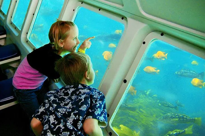 Catalina Island Adventure: Dive into Underwater Wonders from LA!