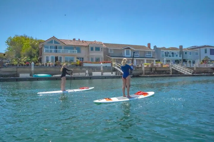 Paddle Huntington Harbour: SUP Tour & Wildlife Views