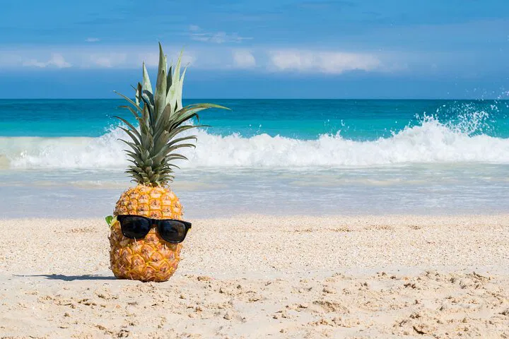 Oahu Grand Circle Island Tour: Snorkel & Top Sites!