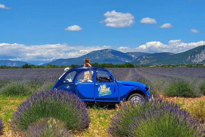 Provence Lavender Fields: A 2CV Convertible Adventure