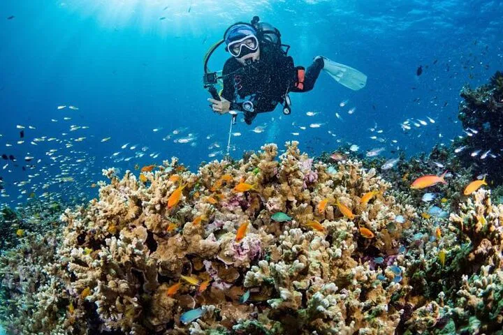 Phuket Scuba Refresher: Dive Back In with Confidence!