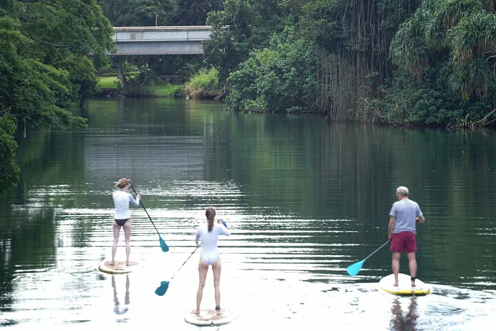 Haleiwa's Anahulu River: Paddle into History & Turtle Spotting!