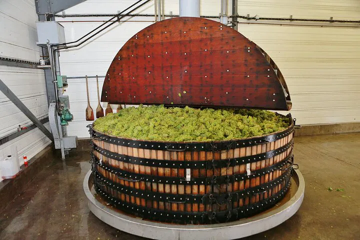 Unveiling Champagne: A Traditional Tasting Journey in Reims