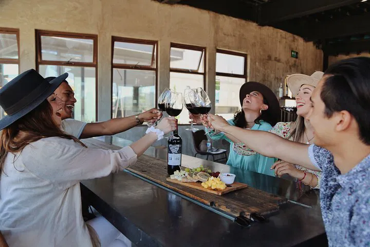 Ensenada Wine Adventure: Taste & Tour at Rondo del Valle!