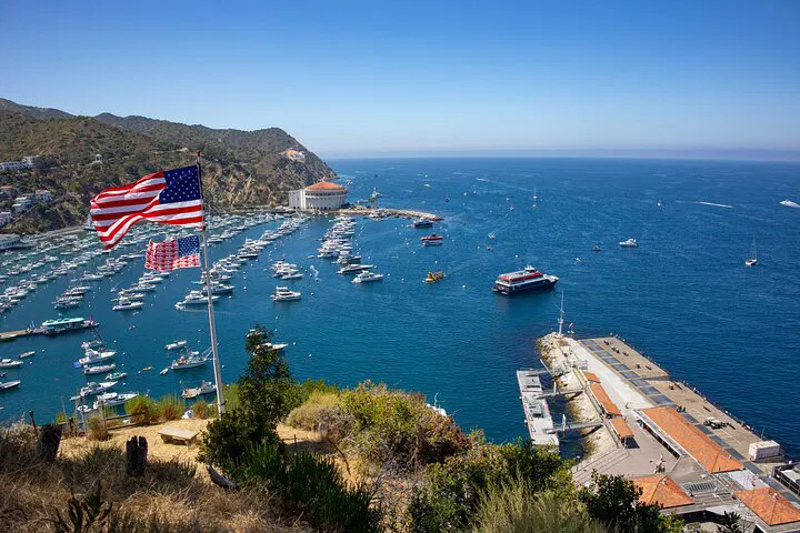 Catalina Island: Avalon & Mt. Ada Scenic Tour