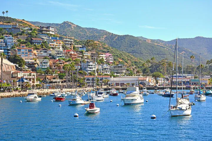 Avalon Unveiled: A Personalized Catalina Island Expedition