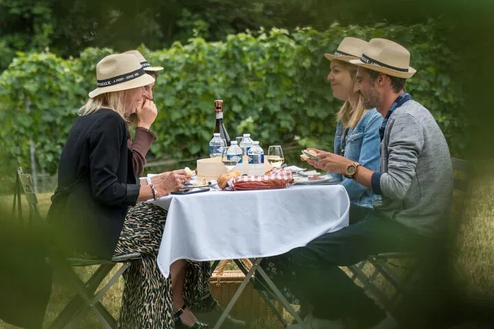 Unveiling Nice's Hidden Gems: A Luxurious Wine & Oil Tasting Escape at Château Vaudois