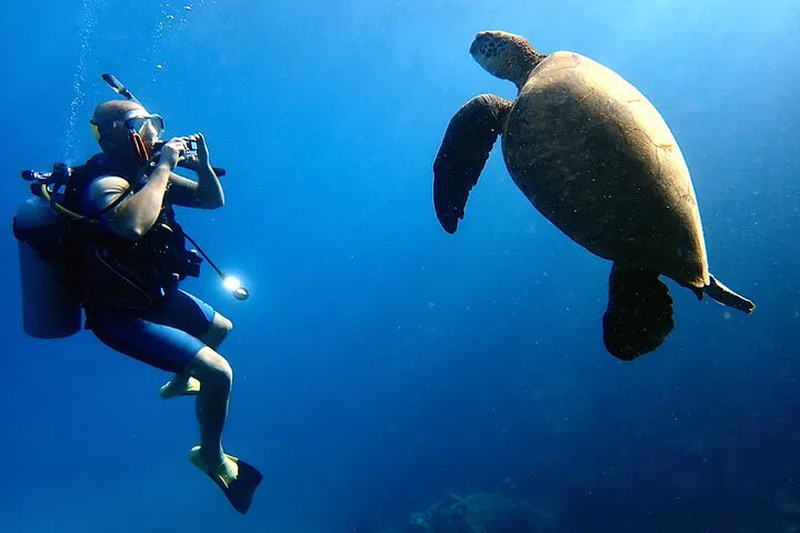 Maui Private Scuba & Snorkel: See Ocean Life!