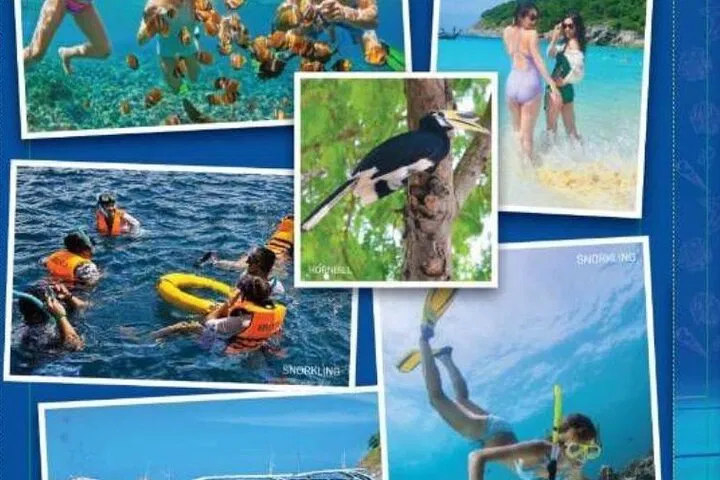 Phuket's Island Escape: Raya & Coral Wonders by Speedboat