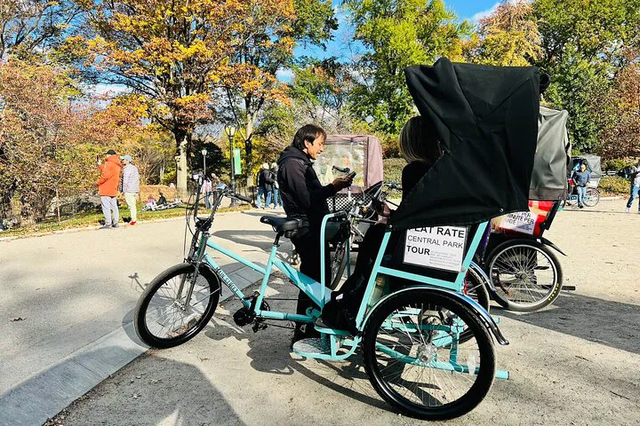 Unveiling Central Park's Secrets: A Luxurious Pedicab Adventure!