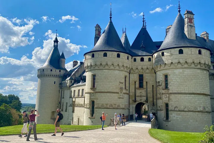Loire Valley Castles Private Tour: Blois, Chaumont, and Da Vinci's Clos Lucé