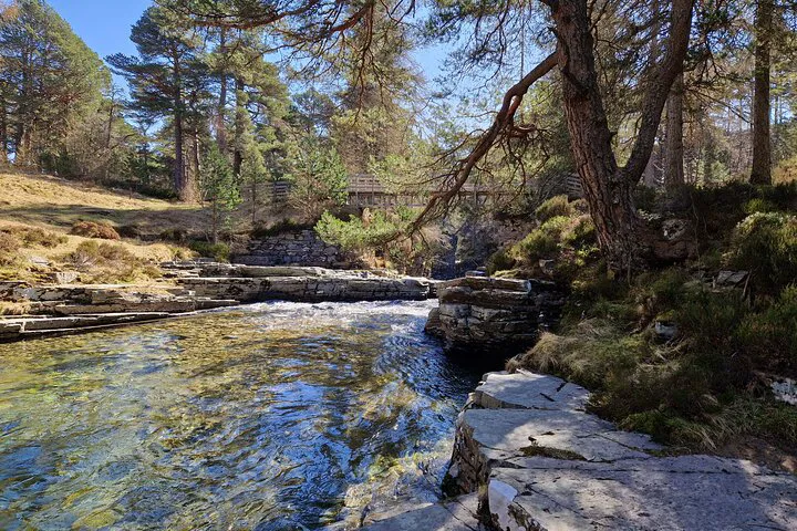 Aberdeenshire & Cairngorms Nature Tour: Highland Scapes