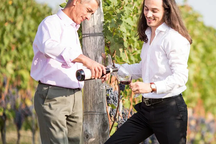 Indulge in Piedmont: Barolo Wine & Food Tasting Adventure