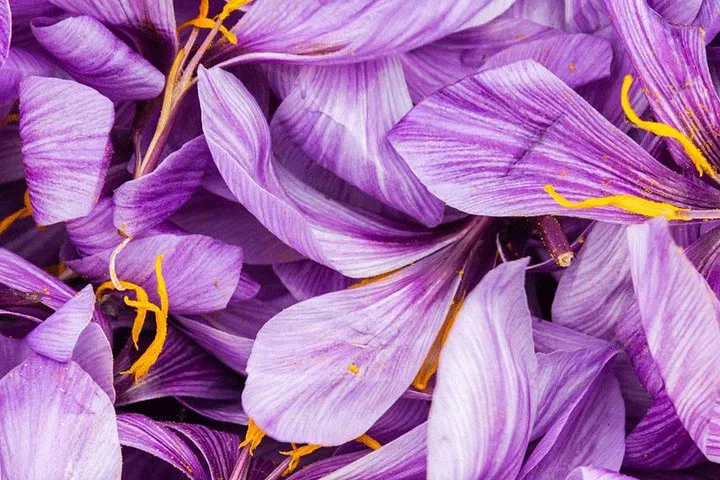 Parisian Rooftop Saffron: An Exquisite Spice Adventure