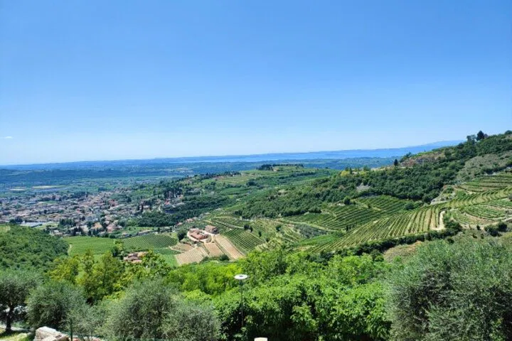Uncorking Valpolicella: A Luxurious Amarone Wine Tour from Verona